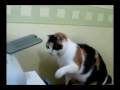 videos de La criss de photocopieuse