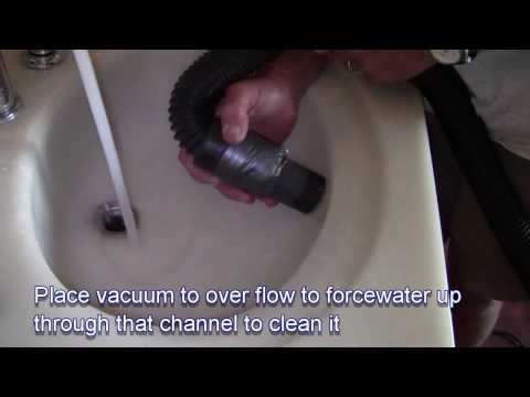 how to unclog a drain with roots