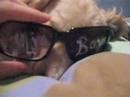 Hank, why are you trying to be like Soulja Boy?