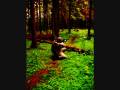 videos de Airsoft.wmv