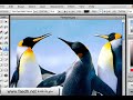 Sumo Paint برنامج للرسم ولتحرير الصور مباشرة على الإنترنت