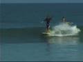 Longboard Surfing-Longboard Habit DVD...C J Nelson