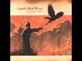 Crippled Black Phoenix - Suppose I Told The Truth http://www.youtube.com/watch?v=cQTAKMgqkN8