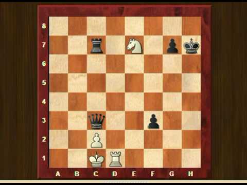 chess tactics chess tactics