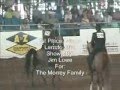 Scottsdale Park Horse