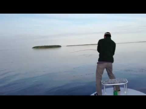 Fly Fish Tarpon: Florida Keys Backcountry Everglades National Park.
