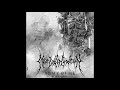 Near Death Condition "Λ R M Y O F M E"