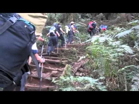 November 2010, Vlog