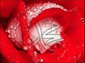 Pashto Naat (Siraji)