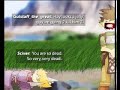 vgcats #66 dub helm the other white meat