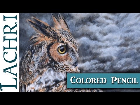 video-linktoworks-Drawing a Great Horned Owl in colored pencil w/ Lachri