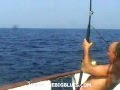 Andaman Islands - Black Marlin