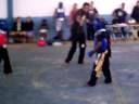 kung fu palma de a�o 34