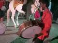 Mahya Baraat Clip