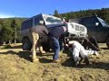 Ripoll�s 2008 part 2