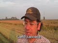 Intervista a Carlo Zaccaria