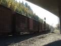 Union Pacific Manifest