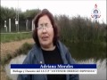 Ver Video