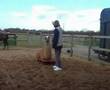 Llama put through his paces