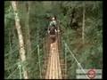 Flight of the Gibbon.Fly though the jungle, Chiangmai Thailand