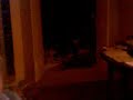 GARE AU THON LE CLIP DE TDY94