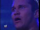 undertaker returns at survivor series