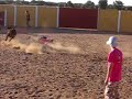revolcones de la vaquilla a diegin