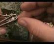 Mobilize your nail clippers. Very easy Moviliza tu cortauñas