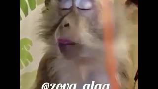 Maraqli video