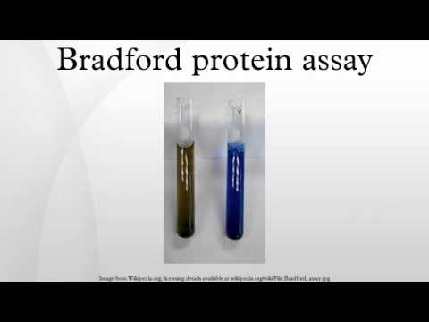 how to measure m protein