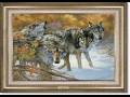 videos de Wolf Slideshow