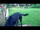 the hose & chester