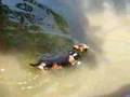 Jixer Swimming