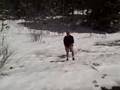 The Pecos Wilderness