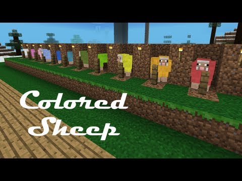 how to dye sheep in minecraft pe