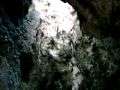 dolphin cave.MPG