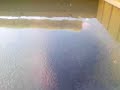 toilet window flex! and back of house vibration