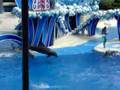 Blue Horizon