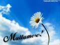 Maret Salvator-Mighty to save
