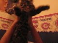 dancin kittie!