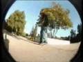 andre genovesi son open your mind