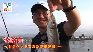 淡路島の沖波止で楽釣!　ジグヘッドでガシラ絶好調! 四季の釣り/2020年6月12日放送分