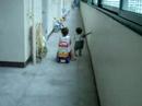 Sarine taking some of her first steps. Sarine taking some of her first steps.