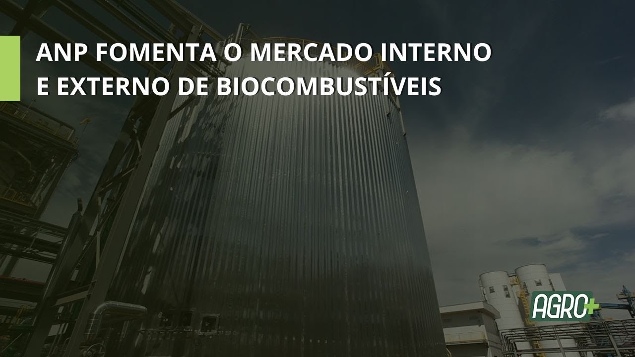 ANP Fomenta o Mercado Interno e Externo de Biocombustíveis.