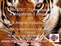 magallanes 2007