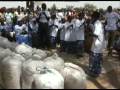 PICS: Improving Cowpea Storage in Niger
