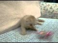 �����ƥ��å���ե�����ɻ�ǭ�����:YouTube������=75��