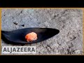 Colombian coca farmers turn to gold-mining