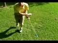HyperFlyz.com Spinning Poi