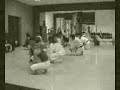 Tai-Chi Vs Panda Kung Fu
